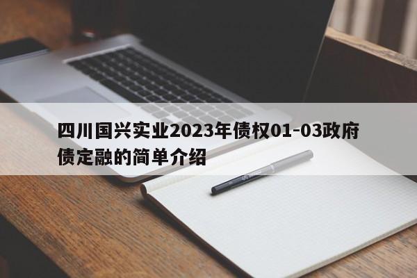 四川国兴实业2023年债权01-03政府债定融的简单介绍