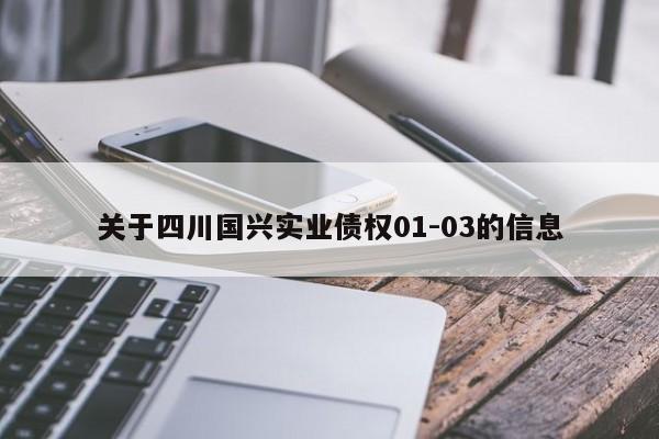 关于四川国兴实业债权01-03的信息