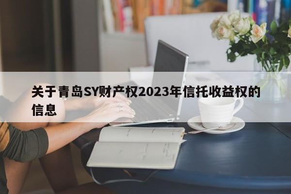 关于青岛SY财产权2023年信托收益权的信息