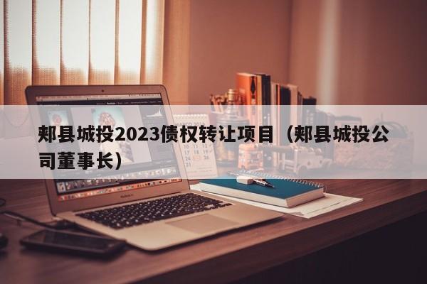 郏县城投2023债权转让项目（郏县城投公司董事长）