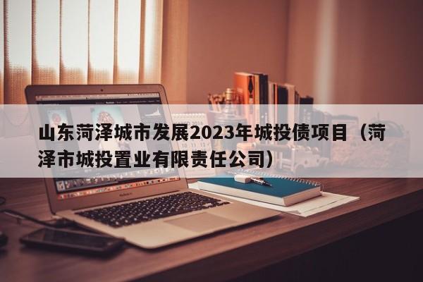 山东菏泽城市发展2023年城投债项目（菏泽市城投置业有限责任公司）