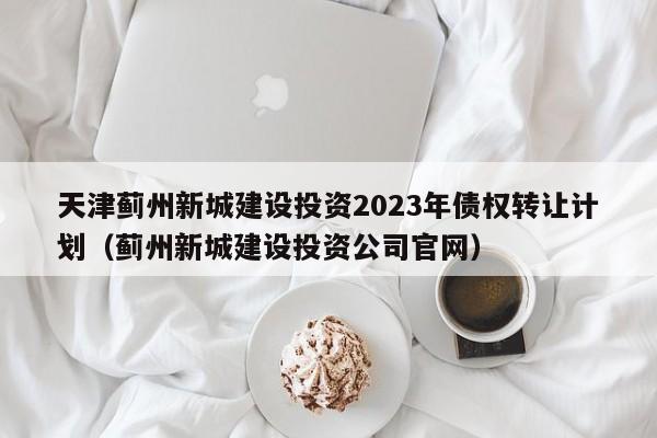 天津蓟州新城建设投资2023年债权转让计划（蓟州新城建设投资公司官网）