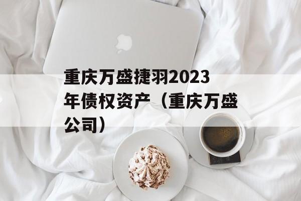 重庆万盛捷羽2023年债权资产（重庆万盛公司）