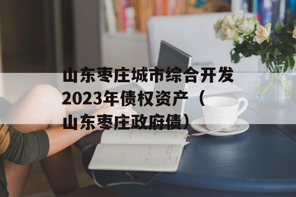 山东枣庄城市综合开发2023年债权资产（山东枣庄政府债）