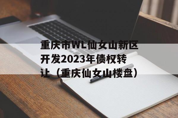 重庆市WL仙女山新区开发2023年债权转让（重庆仙女山楼盘）