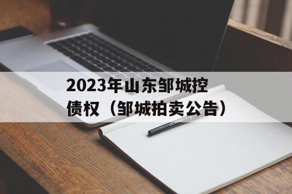 2023年山东邹城控债权（邹城拍卖公告）