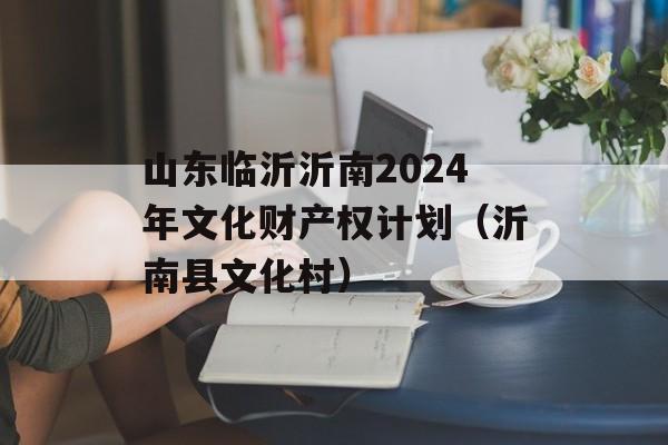 山东临沂沂南2024年文化财产权计划（沂南县文化村）