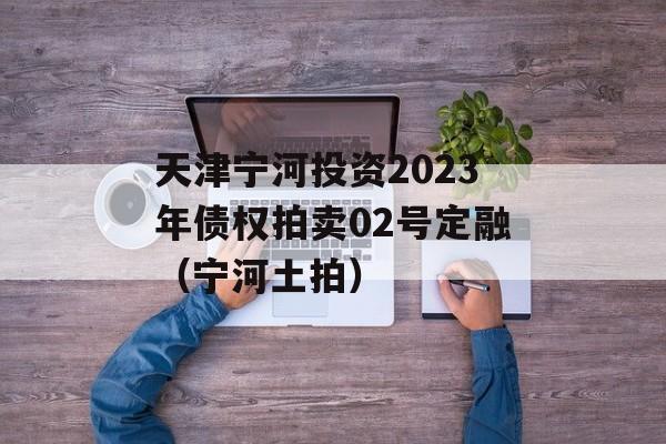 天津宁河投资2023年债权拍卖02号定融（宁河土拍）
