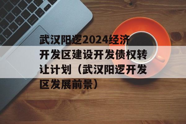 武汉阳逻2024经济开发区建设开发债权转让计划（武汉阳逻开发区发展前景）