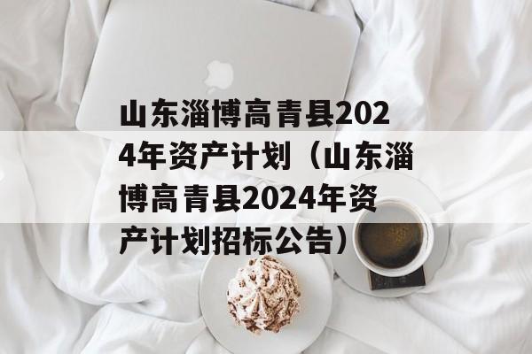山东淄博高青县2024年资产计划（山东淄博高青县2024年资产计划招标公告）