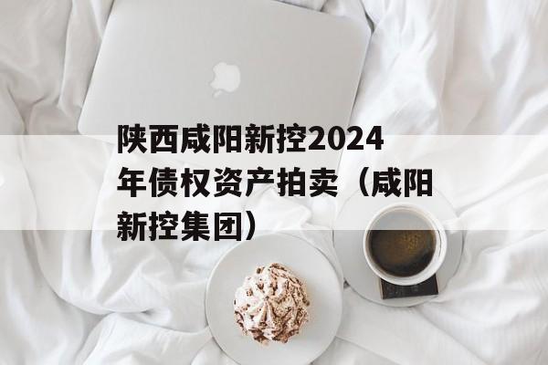 陕西咸阳新控2024年债权资产拍卖（咸阳新控集团）