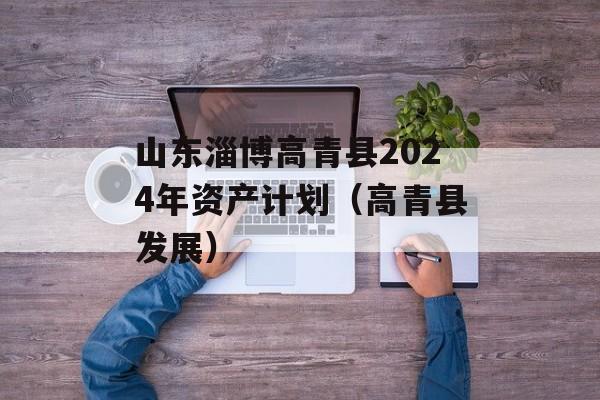 山东淄博高青县2024年资产计划（高青县发展）