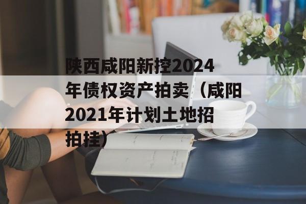 陕西咸阳新控2024年债权资产拍卖（咸阳2021年计划土地招拍挂）
