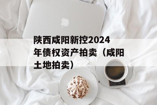陕西咸阳新控2024年债权资产拍卖（咸阳土地拍卖）