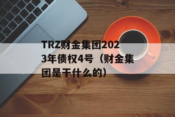 TRZ财金集团2023年债权4号（财金集团是干什么的）
