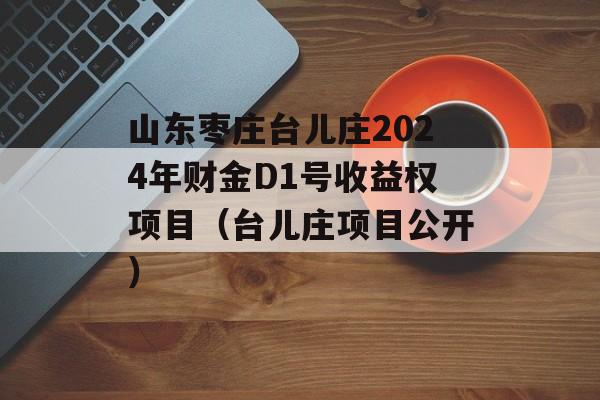 山东枣庄台儿庄2024年财金D1号收益权项目（台儿庄项目公开）