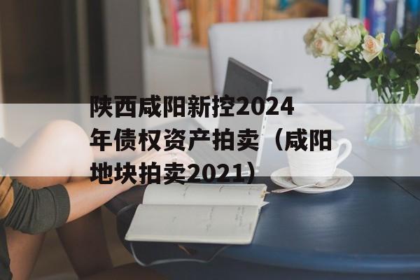 陕西咸阳新控2024年债权资产拍卖（咸阳地块拍卖2021）