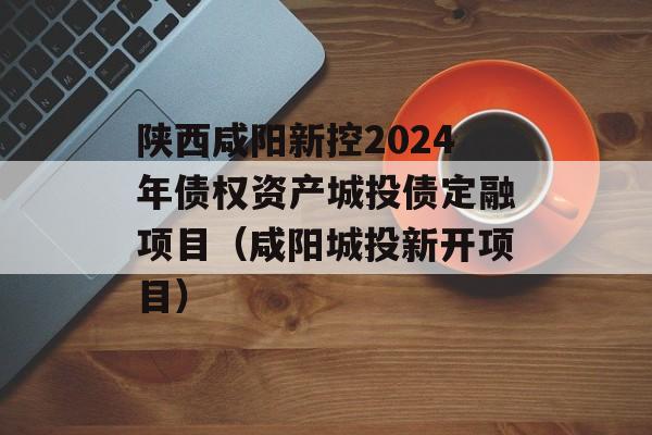 陕西咸阳新控2024年债权资产城投债定融项目（咸阳城投新开项目）