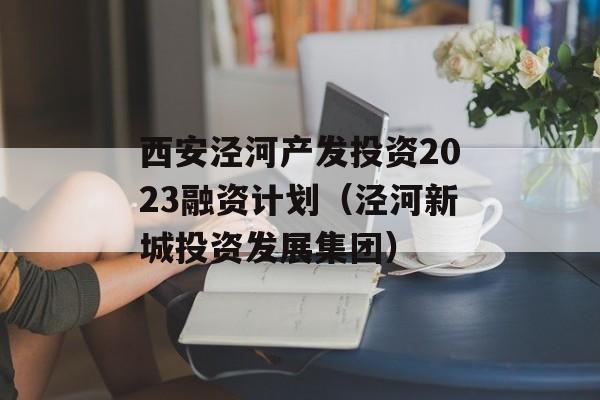 西安泾河产发投资2023融资计划（泾河新城投资发展集团）