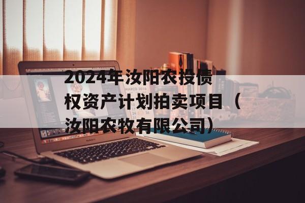 2024年汝阳农投债权资产计划拍卖项目（汝阳农牧有限公司）