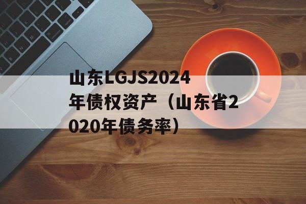 山东LGJS2024年债权资产（山东省2020年债务率）