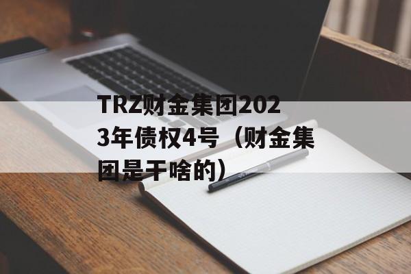 TRZ财金集团2023年债权4号（财金集团是干啥的）
