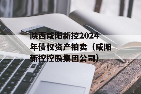 陕西咸阳新控2024年债权资产拍卖（咸阳新控控股集团公司）
