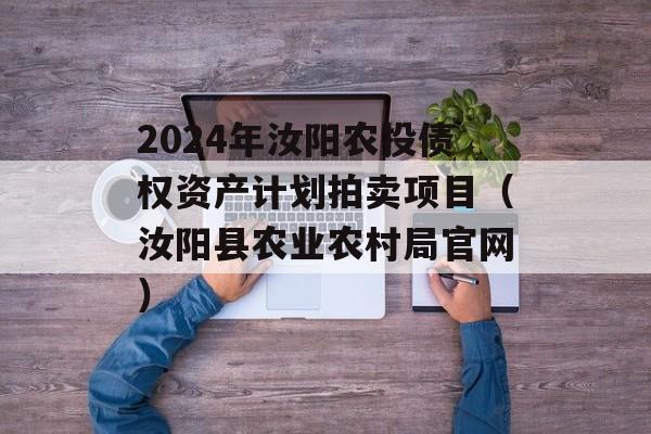 2024年汝阳农投债权资产计划拍卖项目（汝阳县农业农村局官网）