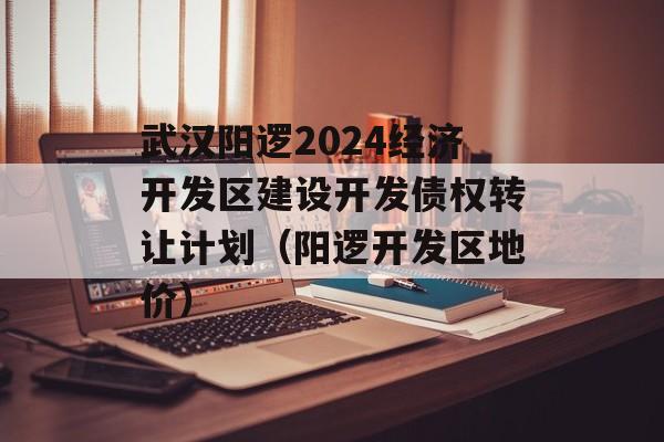 武汉阳逻2024经济开发区建设开发债权转让计划（阳逻开发区地价）