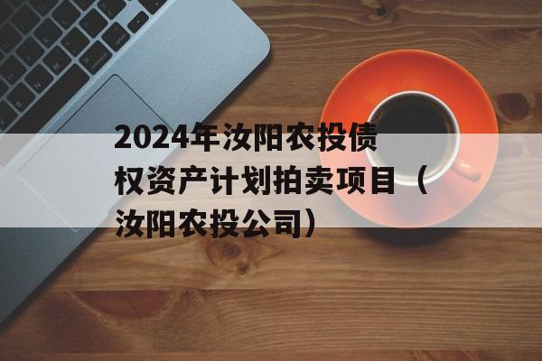 2024年汝阳农投债权资产计划拍卖项目（汝阳农投公司）