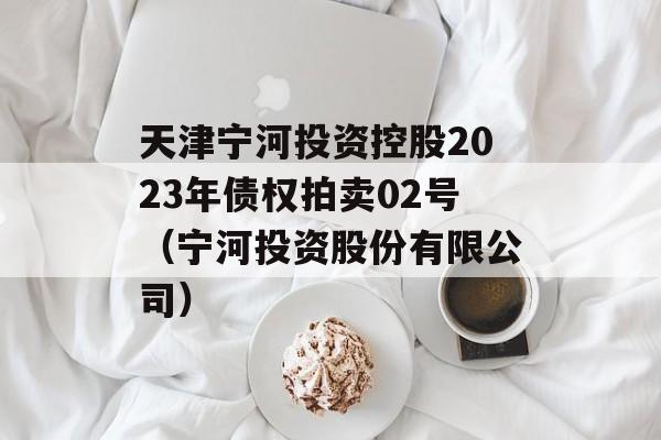 天津宁河投资控股2023年债权拍卖02号（宁河投资股份有限公司）