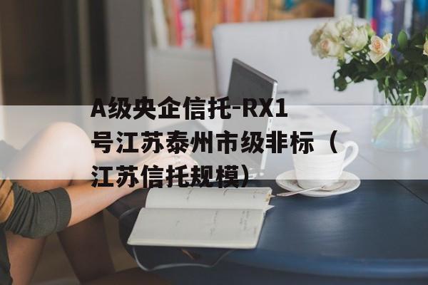 A级央企信托-RX1号江苏泰州市级非标（江苏信托规模）